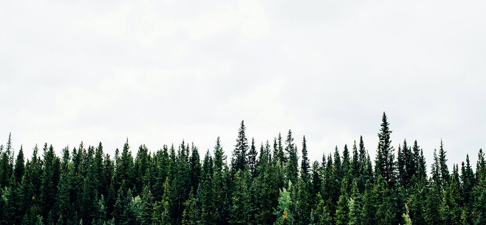 盛鸿国际关注的话题