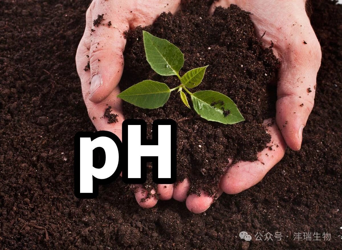 改良盐碱地，助力生态环境可持续发展，BIOAGRI?在行动！