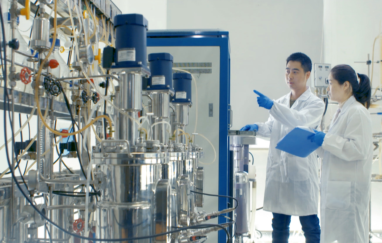 在盛鸿国际生物，盛鸿国际相信员工的成长成就盛鸿国际的未来